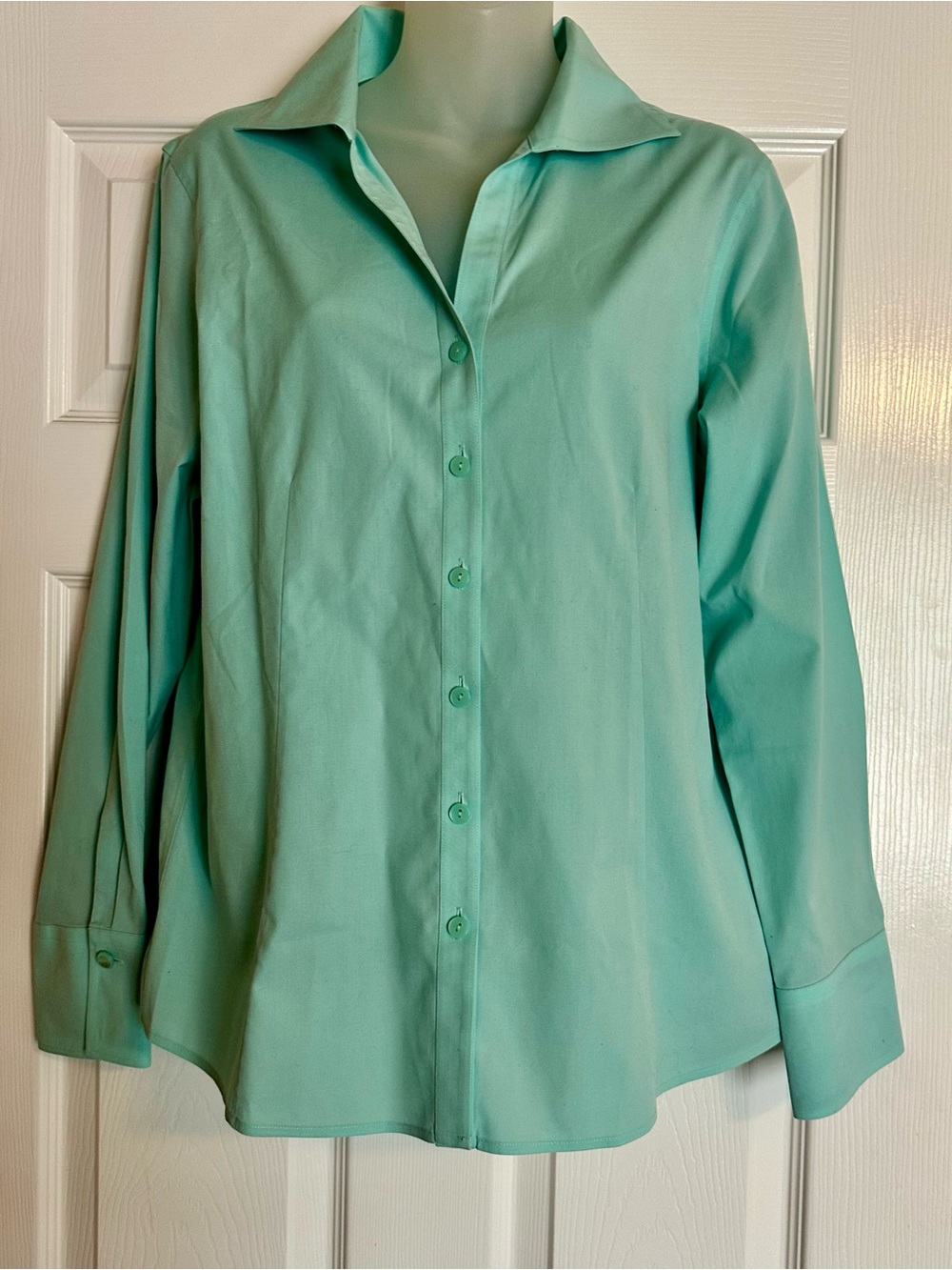 Talbots Mint Green Button-Down Shirt